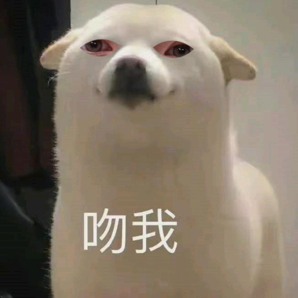 坚无不催的豆腐君