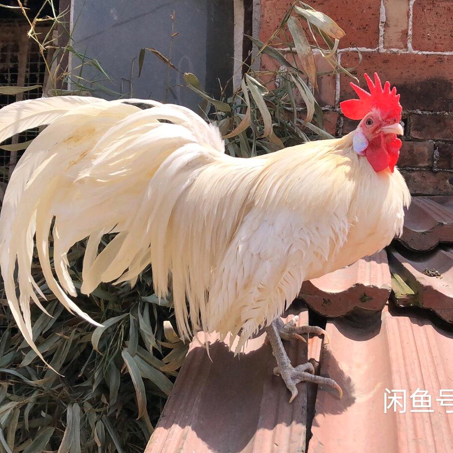 涵涵宝贝