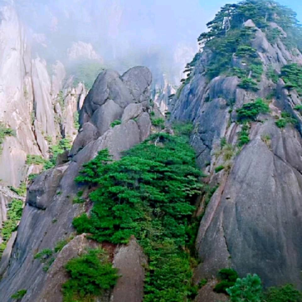 ♥ও🕊ꦿꦼ情深依旧꧔ꦿ࿐้