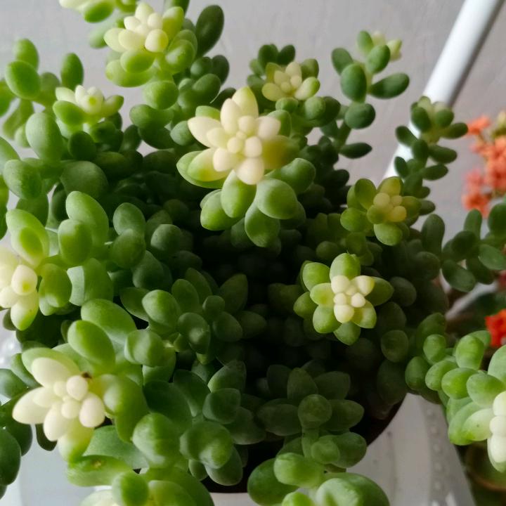 我遇见你