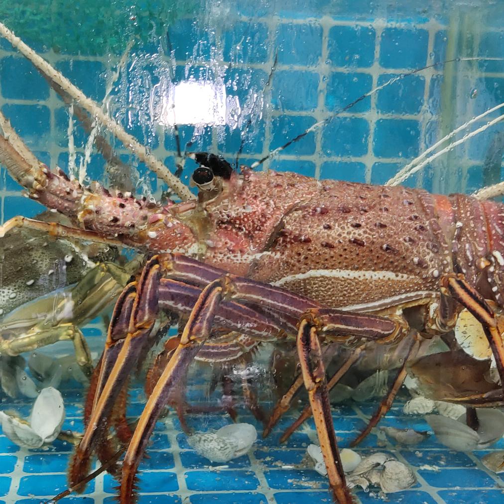 千寻百度