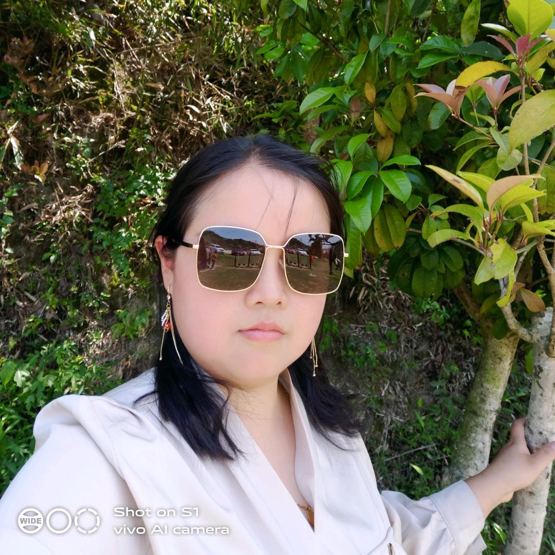 何情何李