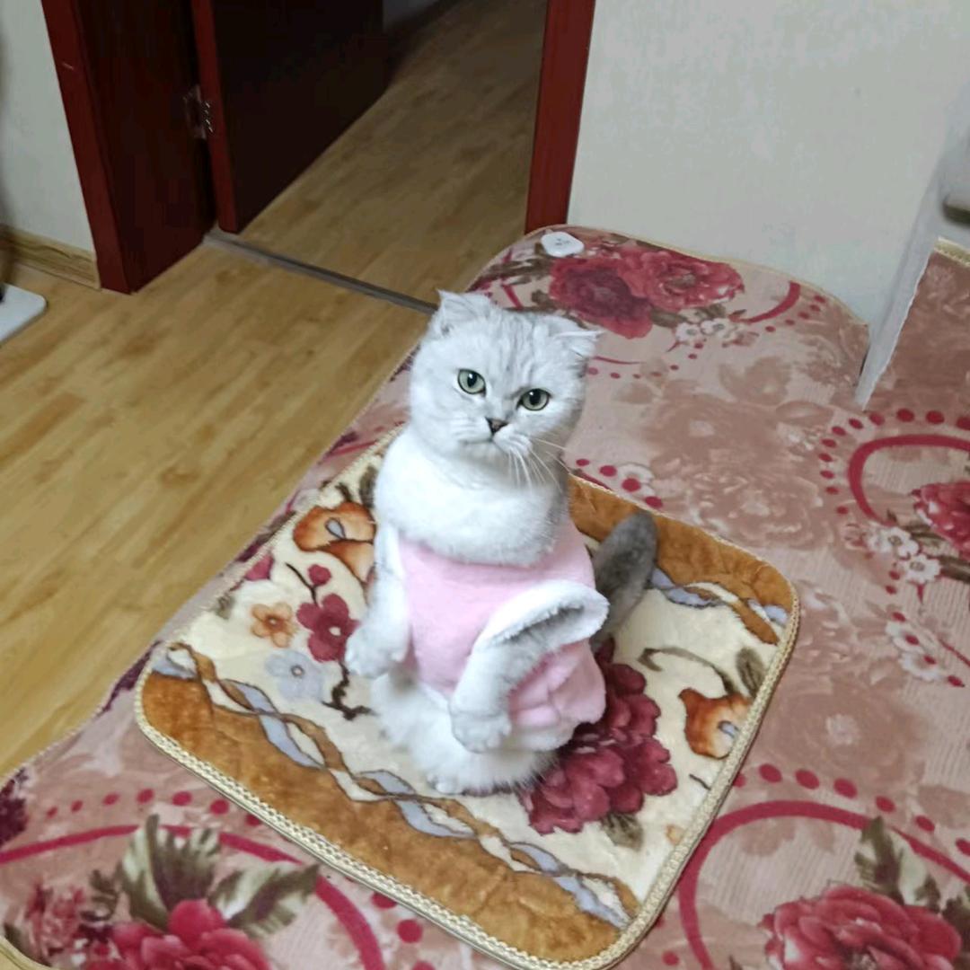 幸福一生