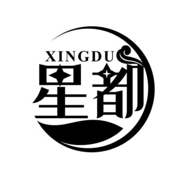 聂 星（邯郸星都新能源科技有限公司）