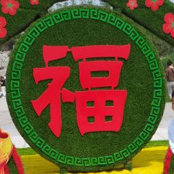 花开富贵