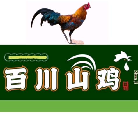 百川山鸡