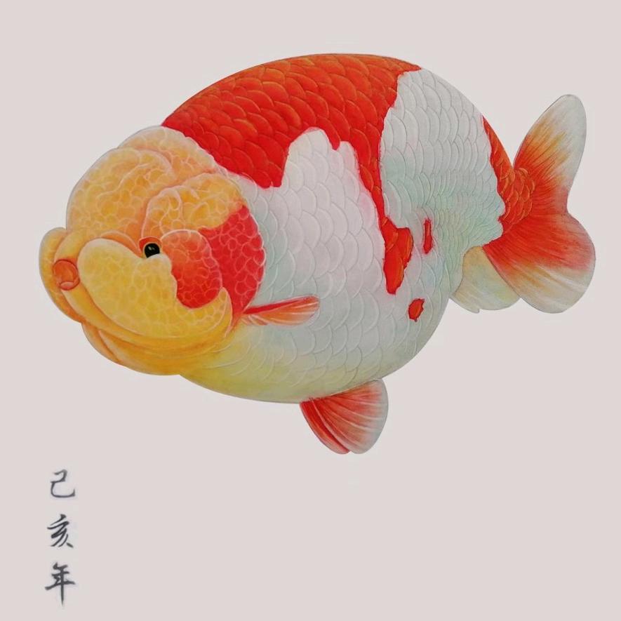 王哥装修爱养鱼