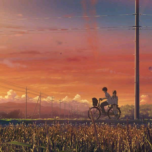 我像风一样自由