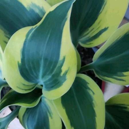 不离不弃守护爱心❤️开荒保洁137953