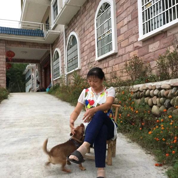 🧣针织人生🧣