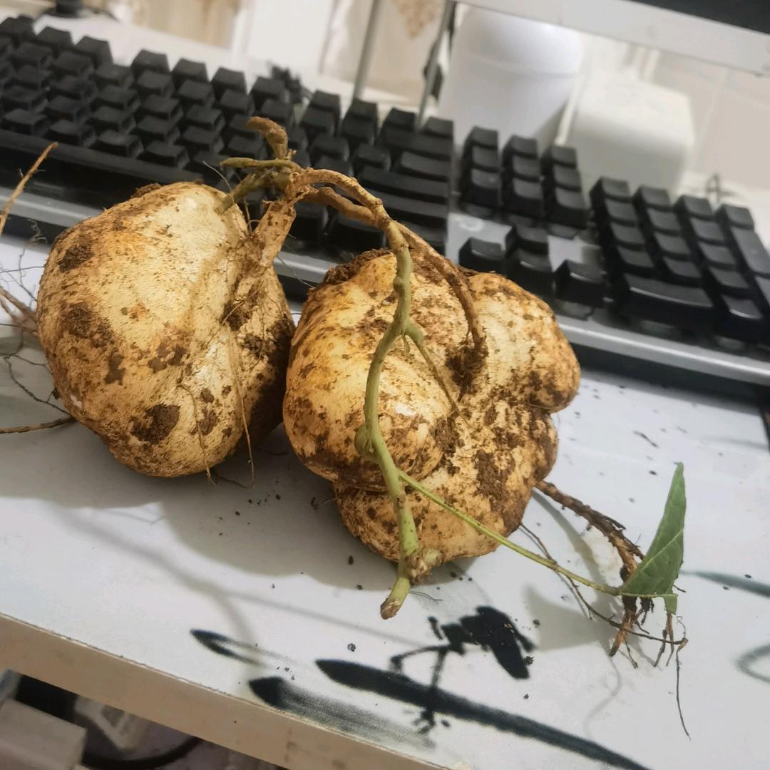 普心乐心食品店