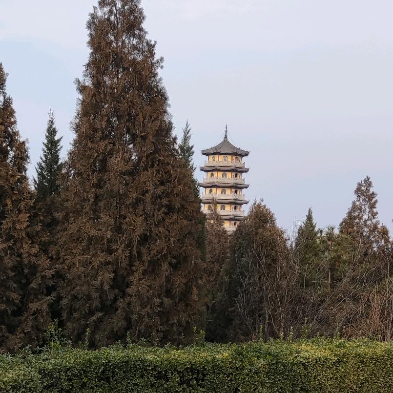 迷之自信@