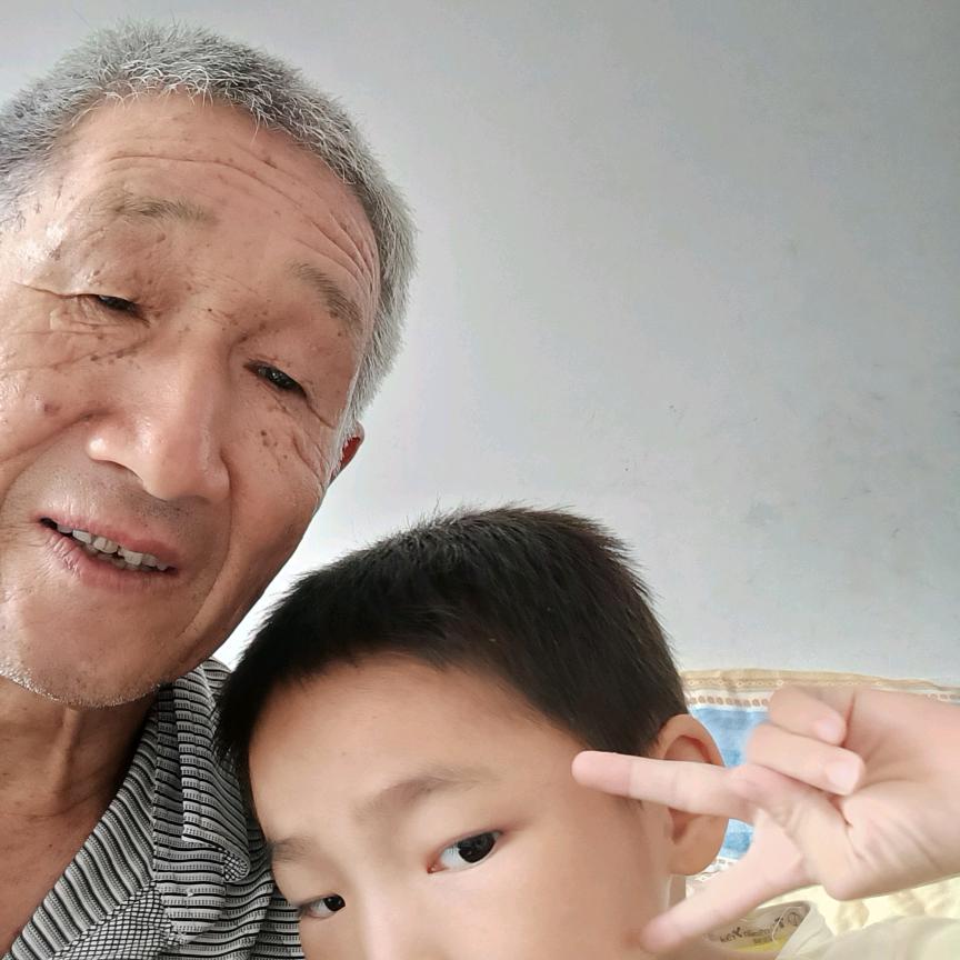 论意