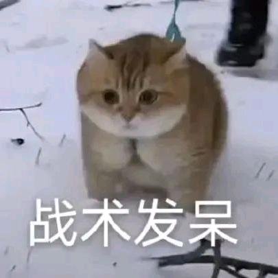 一只榴莲头像