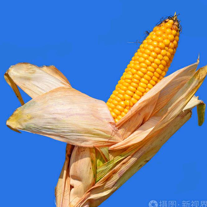 屯留盛航农资有限公司