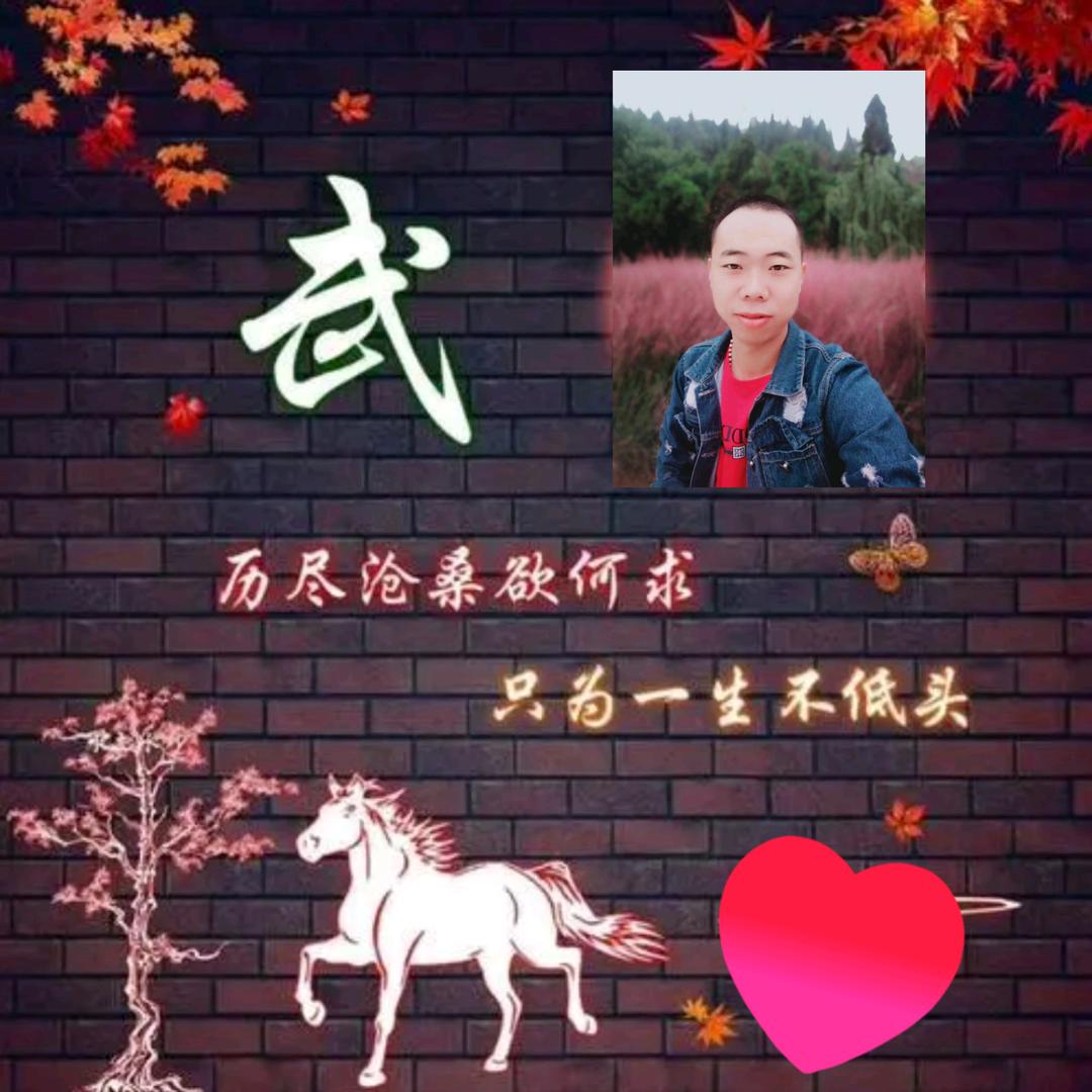 武哥的忧伤●︿●