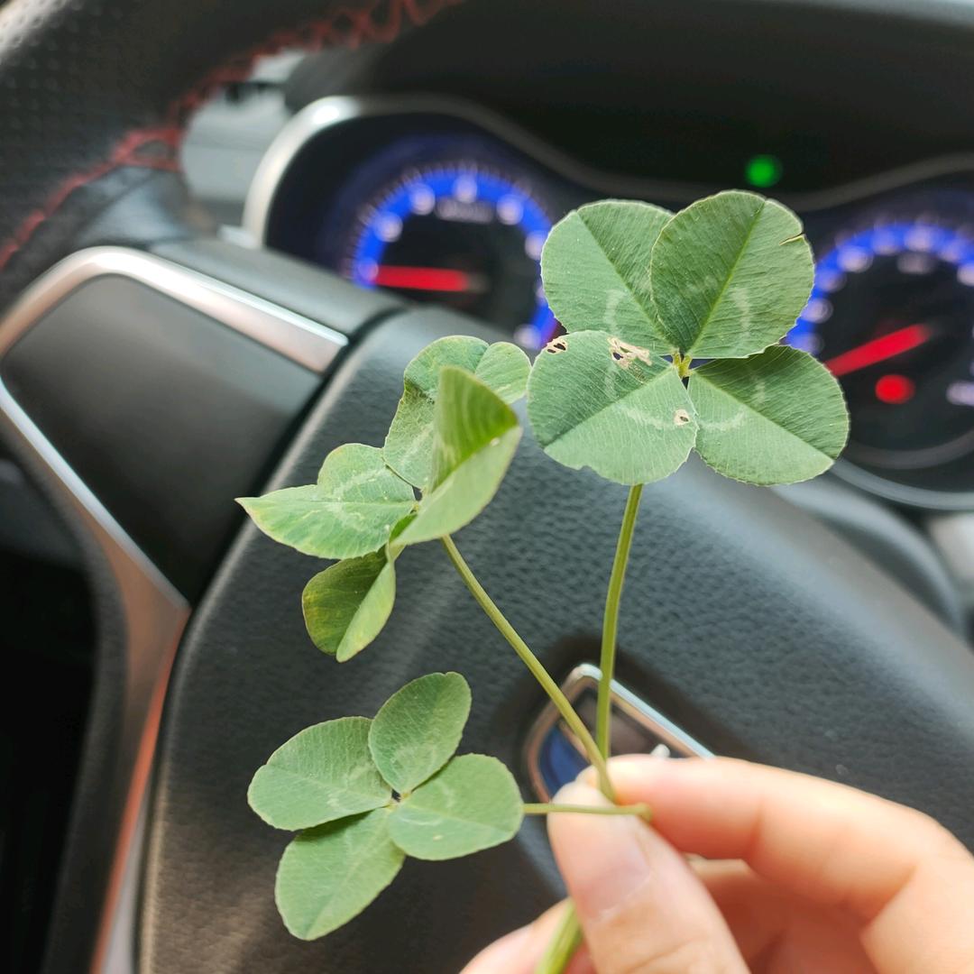 👧🏻👦🏻👧🏻感恩遇见