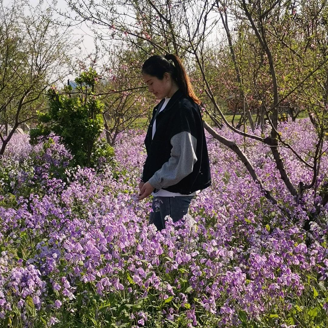 爱上金太阳☀️