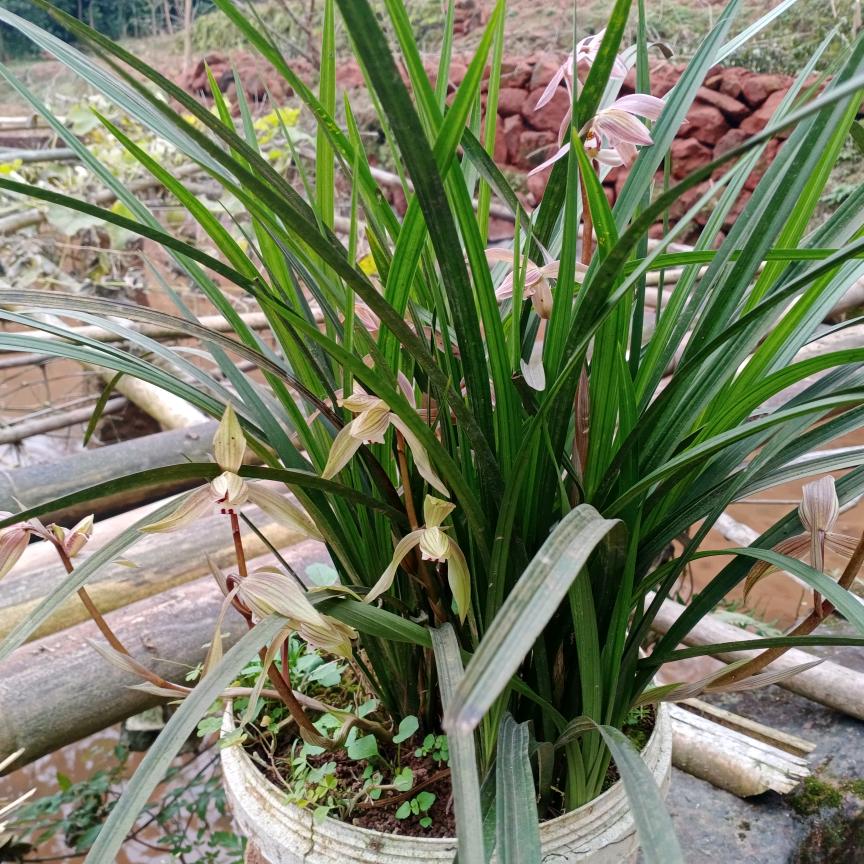 有你真好💖❤💝