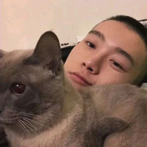 别抱小宏