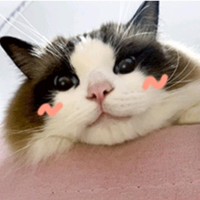 123