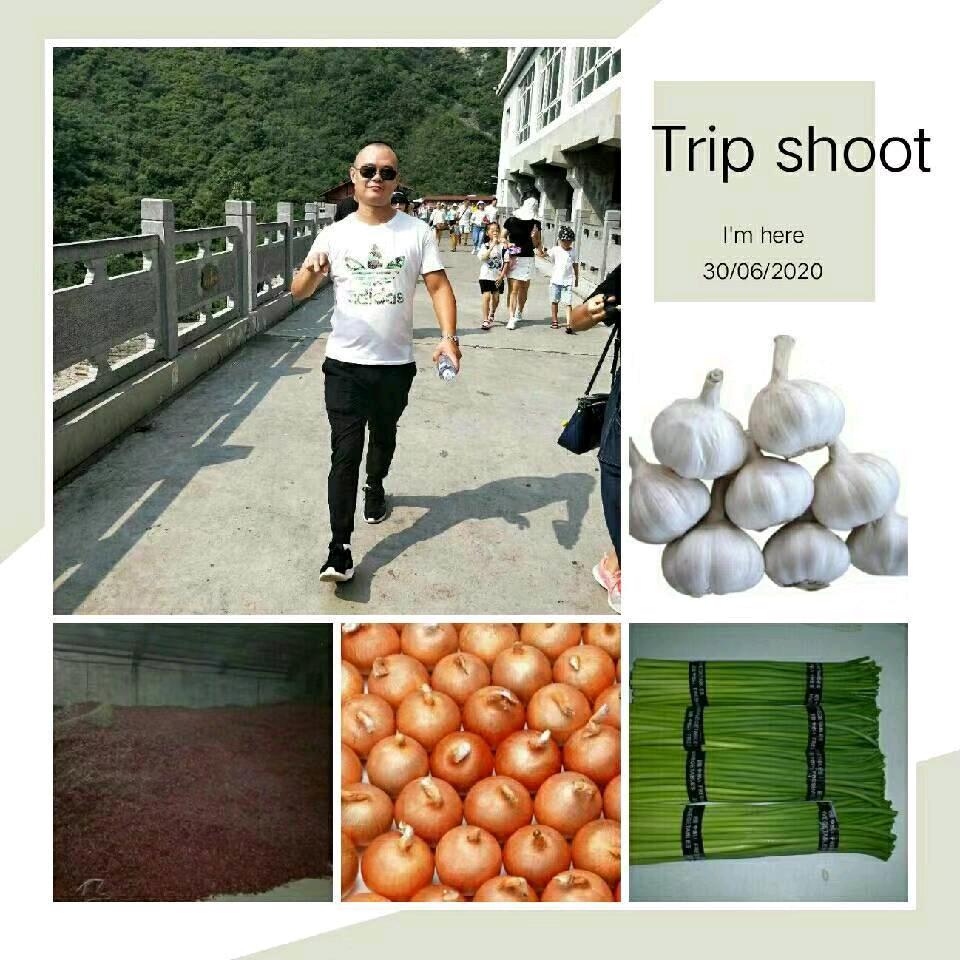 金乡润鑫蒜业王学