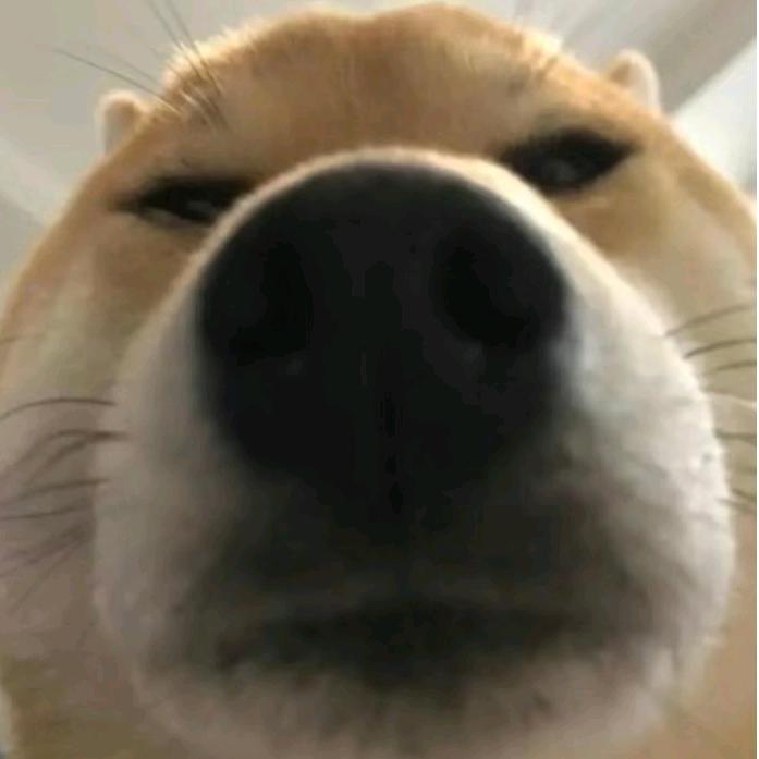未来农场主l
