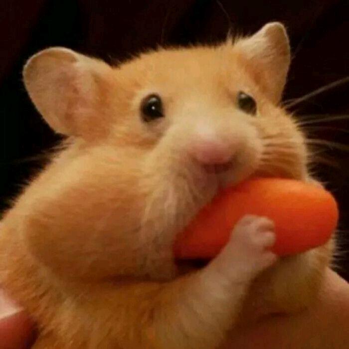 何以解忧💰💰💰