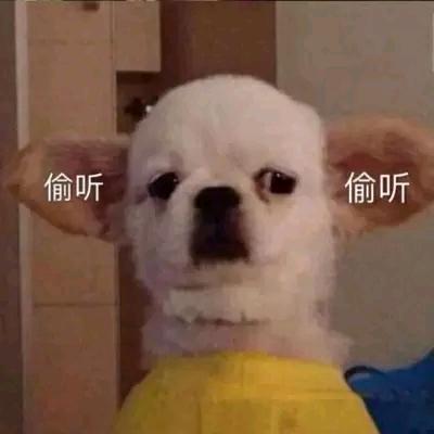 O🐏