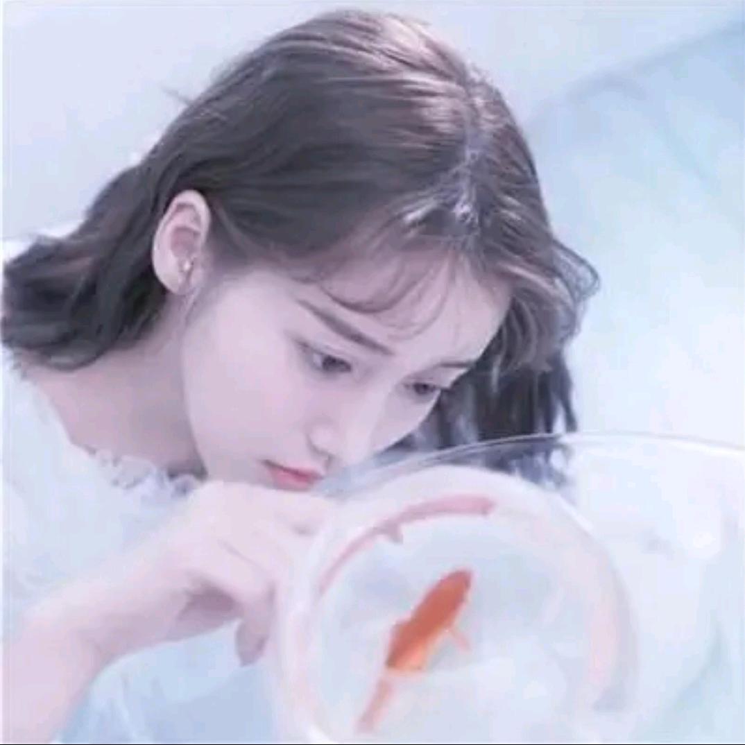 星辰莫微凉