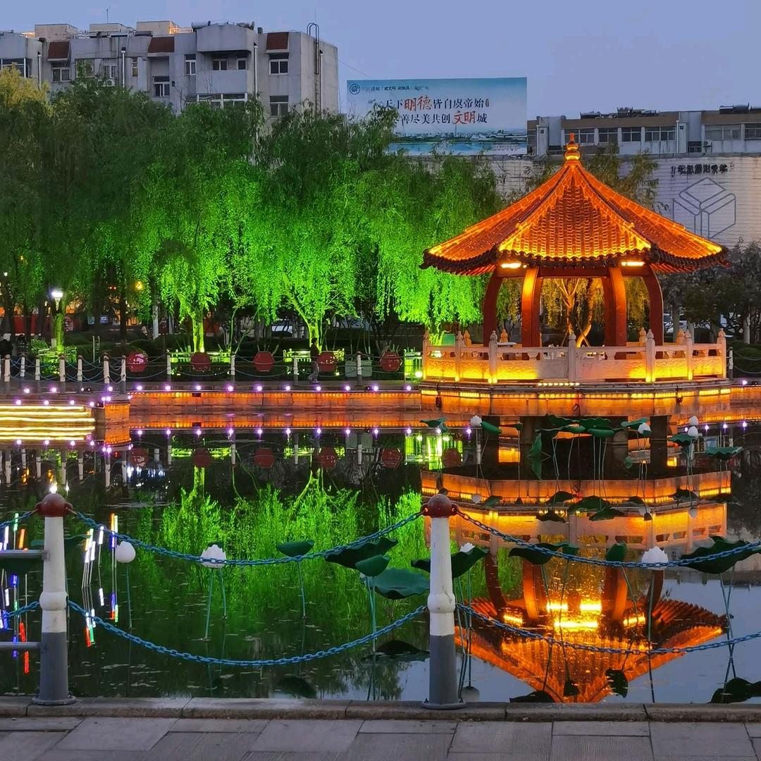 丁丁短视频