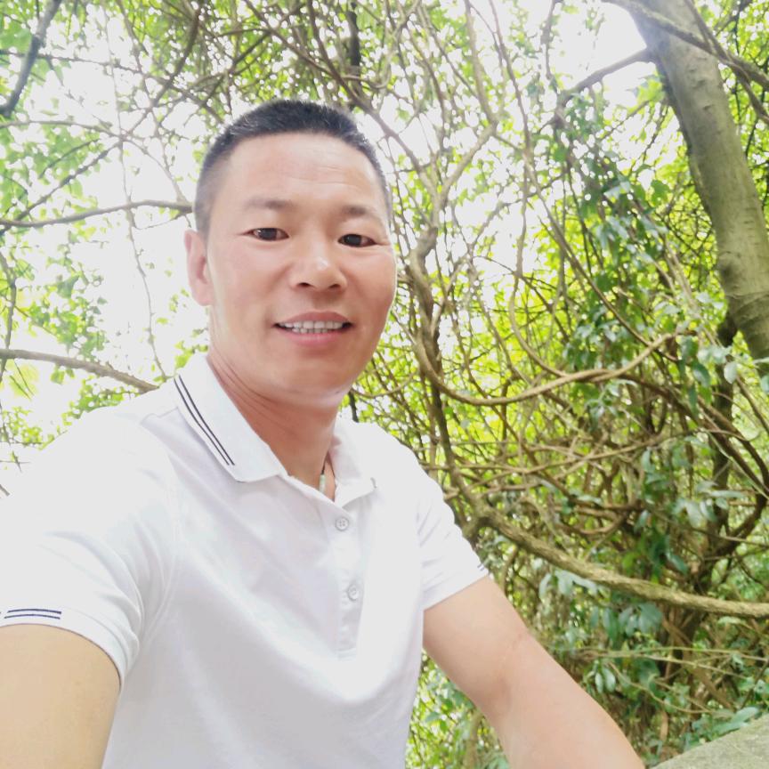 六枝强哥