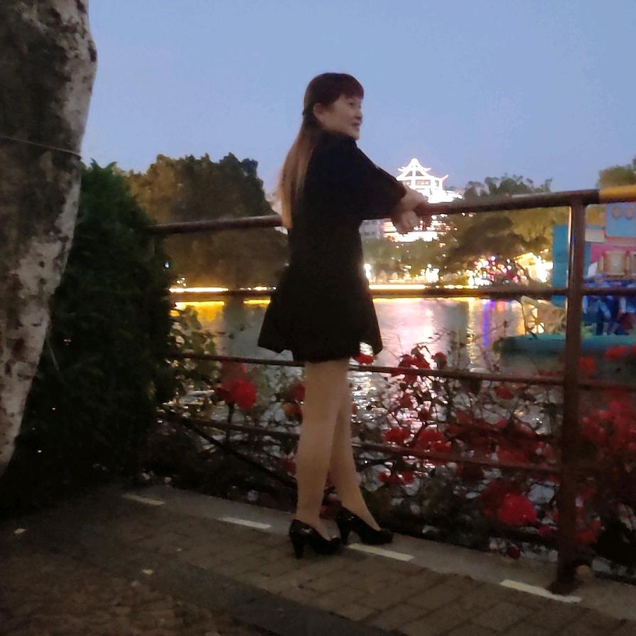 自由如风.