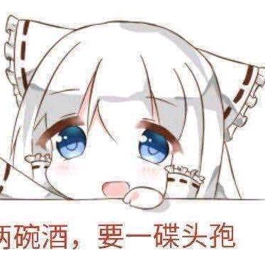 黑白边牧（小木）