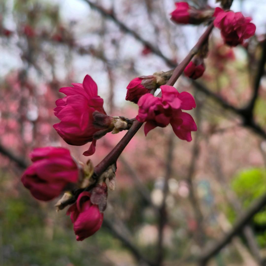 青春岁月