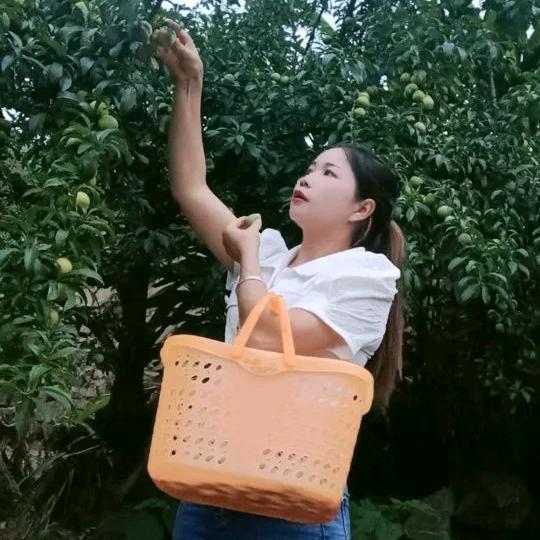 寻找缘份，非诚勿扰