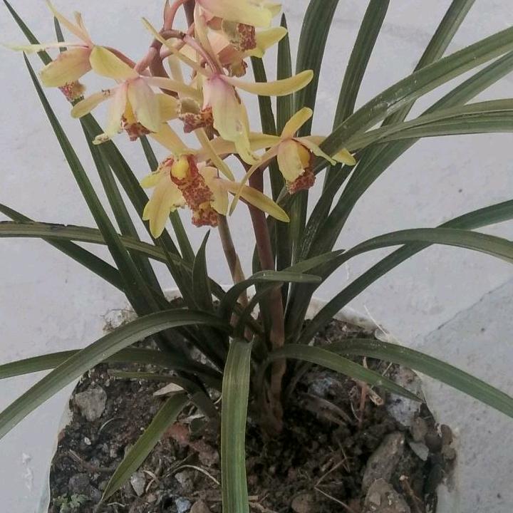 愿生活、温暖向阳