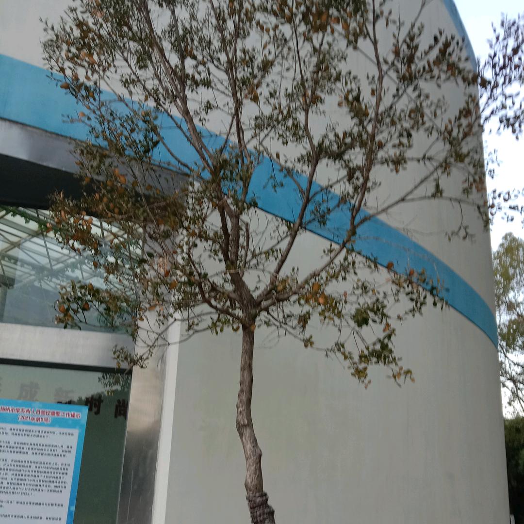 没有你陪伴我真的好孤单