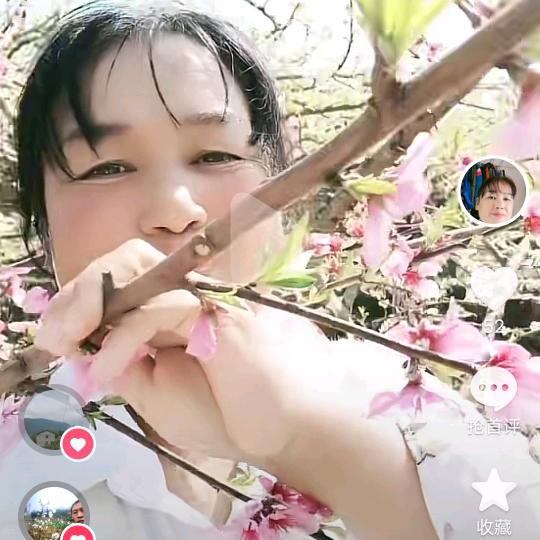 大姐