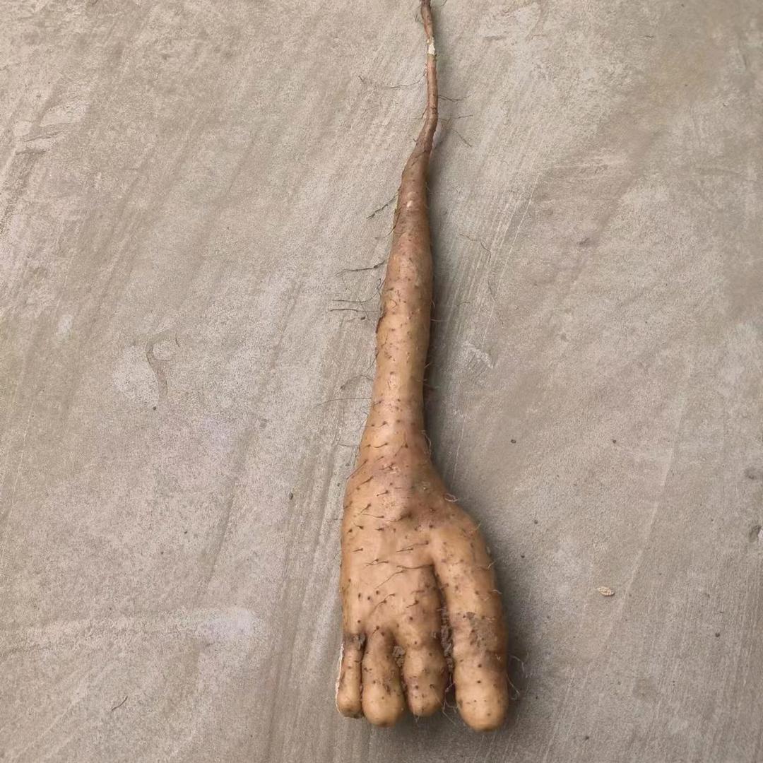 ༂小࿐朋࿆友༂