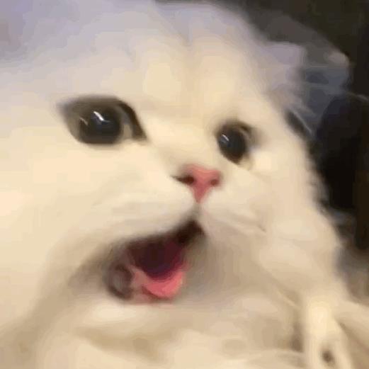 甜甜小熊蛋糕