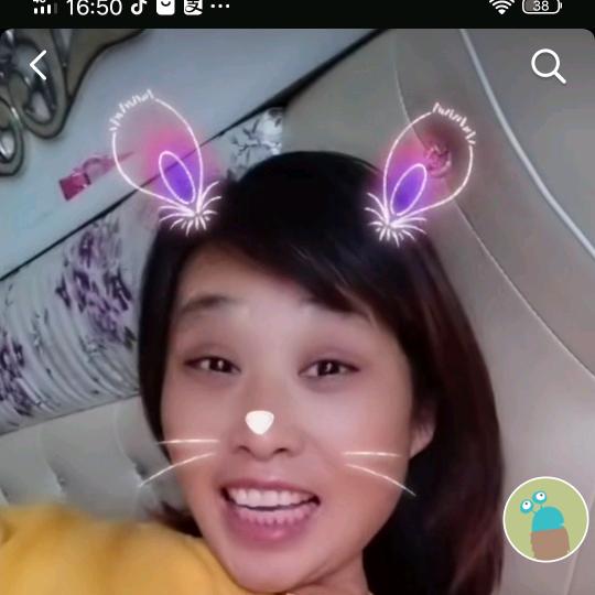 张新