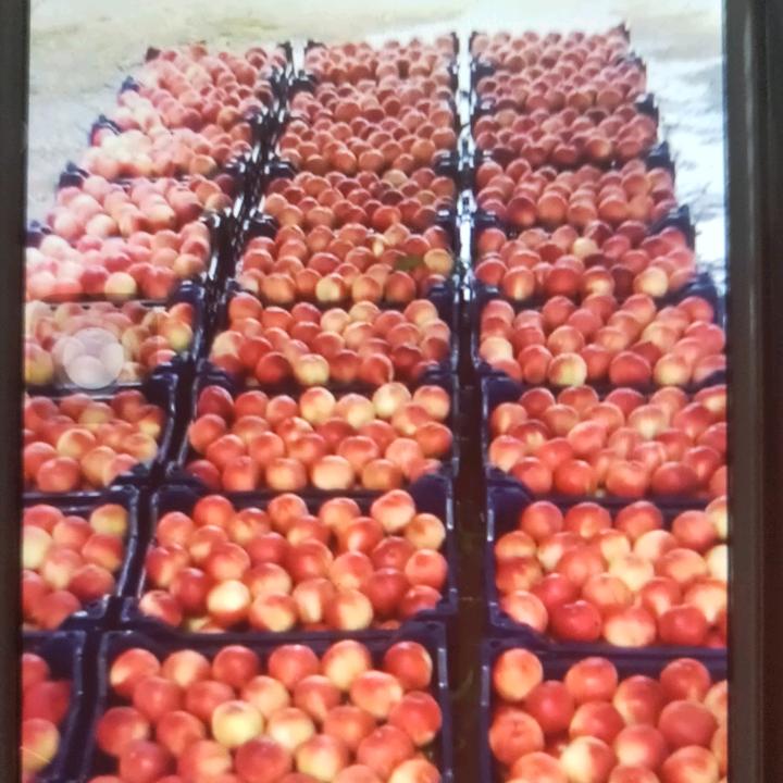 绿果农业