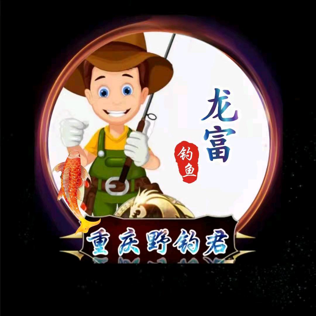 龙富野钓君战服1群