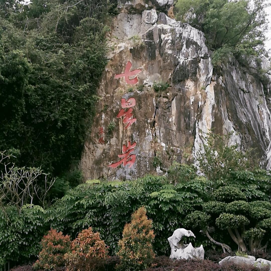 酱香大古头