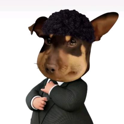 氮泵雪（看过JJ20和FL版）