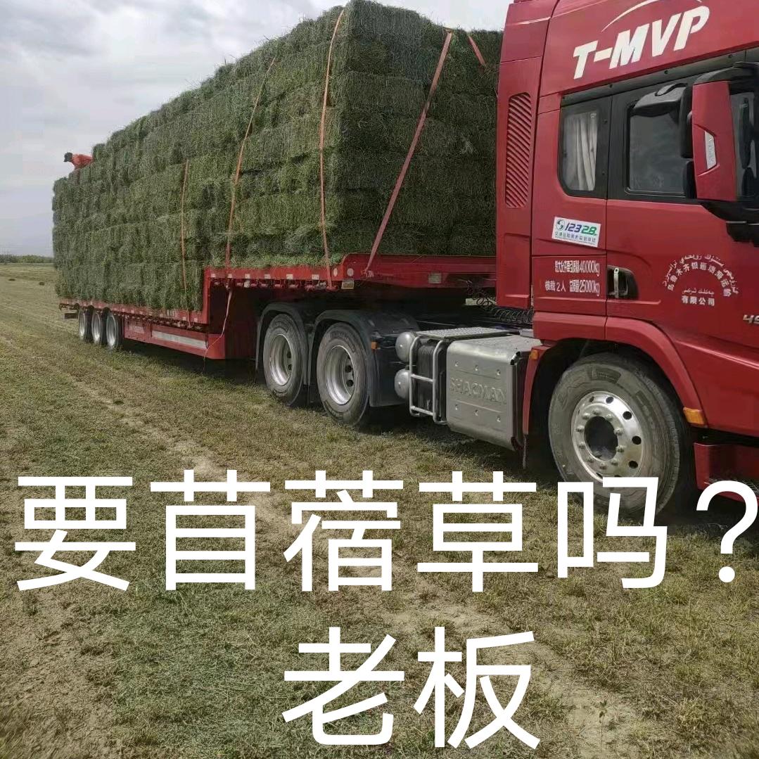 🚚兄弟草业🌏