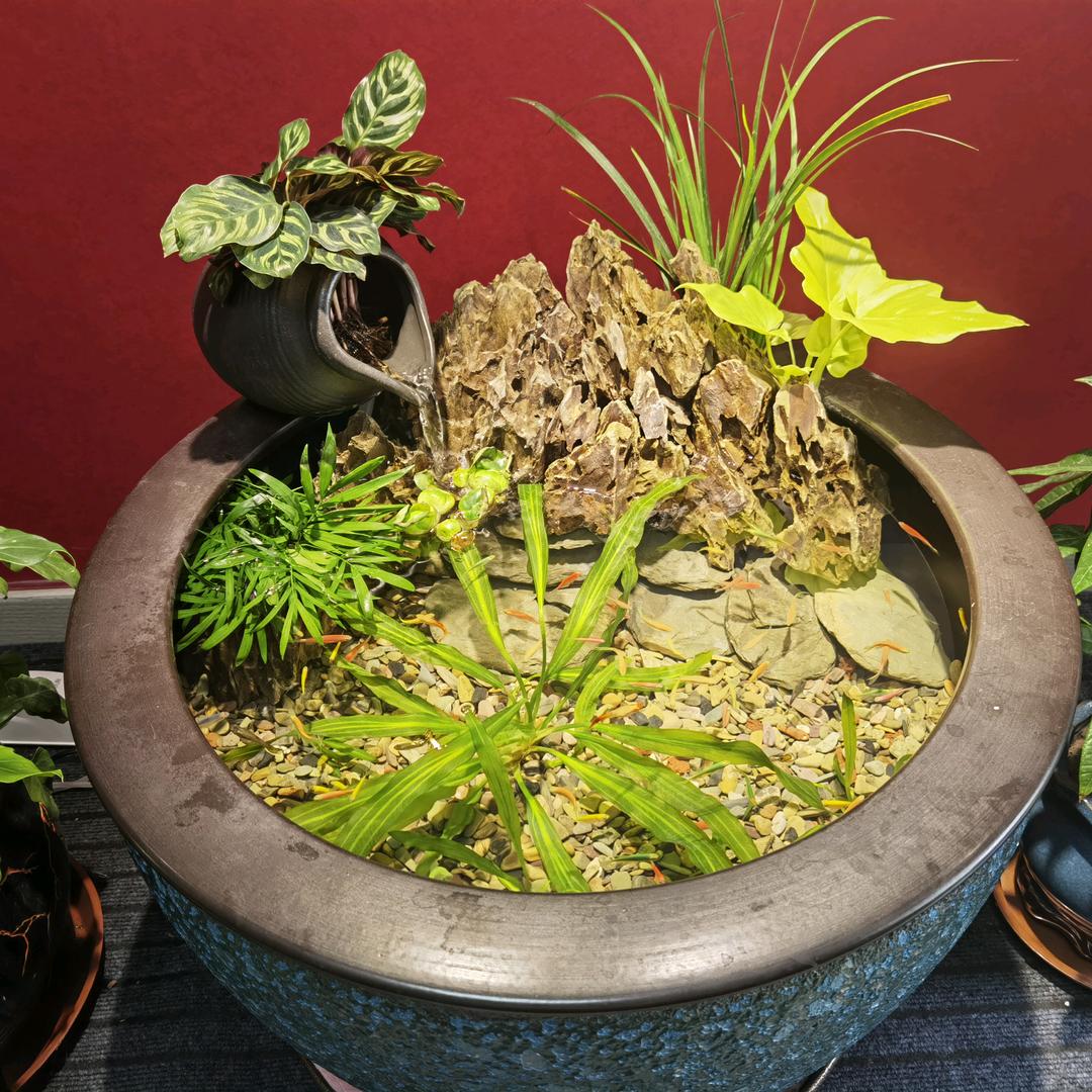 阑花圗古法生态造景