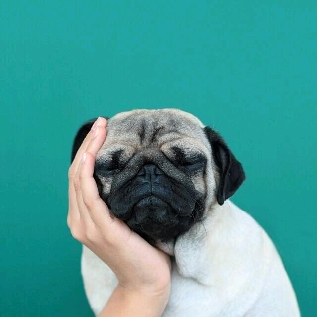 匿末