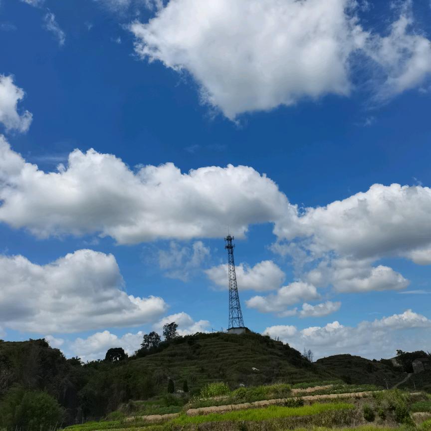 🐯🐯虎虎生威👑